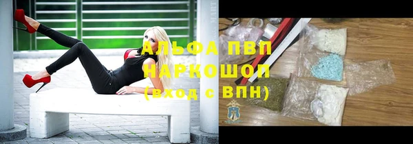 гашик Покров