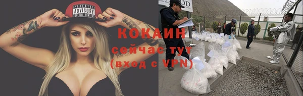 сатива Абаза
