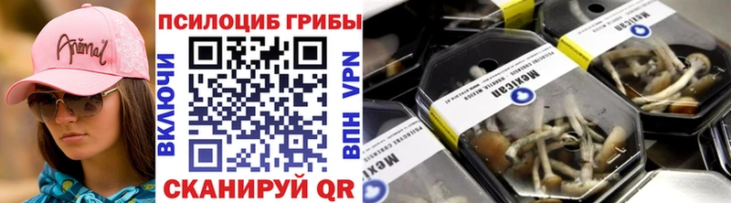 купить закладку  Александровск-Сахалинский  Галлюциногенные грибы Psilocybe 